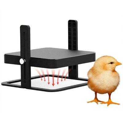 Chick Brooder Heating Board  Angle Heat Lamp Incubator Hen