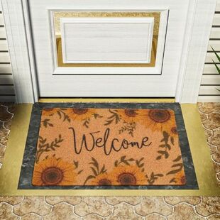 Entrance Doormat Outdoor Indoor Non Slip Resist Dirt
