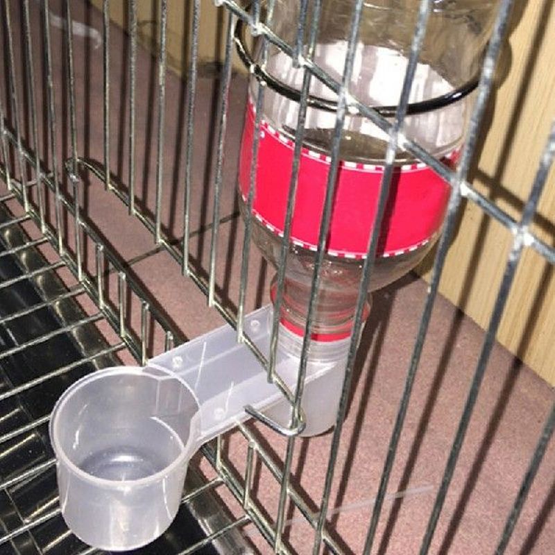 2Pcs New Arrival Portable Plastic Clear Water Bottle Bird