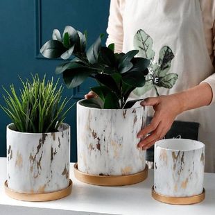 Marbling Appearance Ceramic Flower Pot Succulent Planter