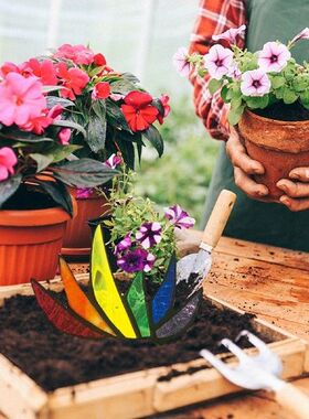 1PC Miniature Stained Acrylic Lovely Agaves Aloe Yard Plant