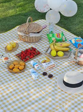 Large Foldable Picnic Blankets Waterproof Sandproof Beach