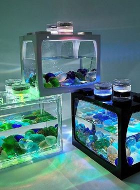 Desktop Aquarium Fish Tank With One Led Light Battery Type