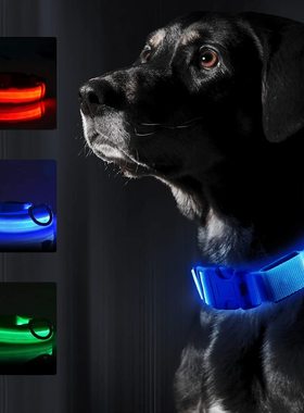 LED Dog Collar USB Rechargeable Bright & High Visibi