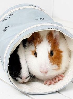 Small Guinea Pig Hamster Toy Tubes Tunnels Spring Hamster
