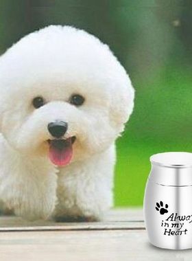 Wadah Kremasi Hewan Peliharaan Stainless Steel Ash Memorial