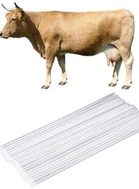 60 Buah Hewan Peliharaan Sapi Buatan Inseminasi Jenis Pipa