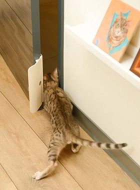 Pet Door Opener Controllable Entry Training Open Door Hole