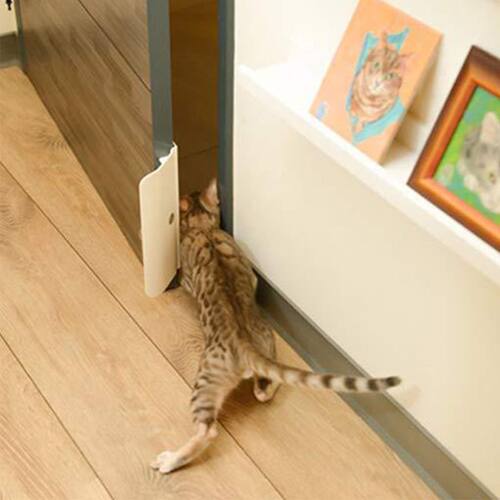 Pet Door Opener Controllable Entry Training Open Door Hole