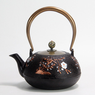 Japanese Iron Pot Boiled Water Tea Cast Iron Teapot
