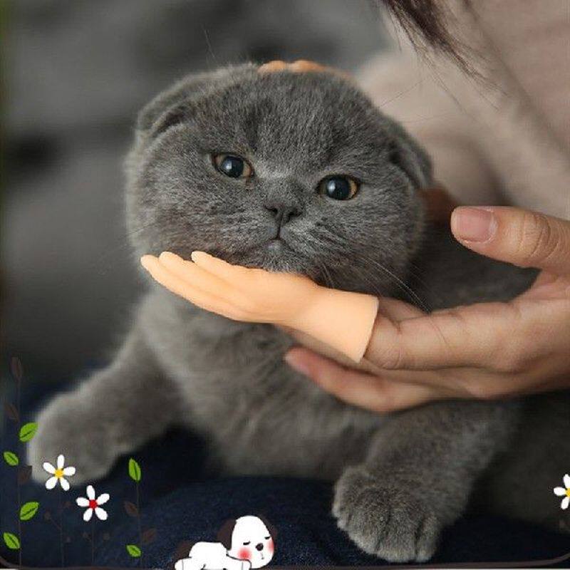 Tangan Mini Lucu Bentuk Telapak Tangan Kreatif Tempat Tidur - 实物图