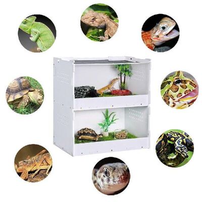 Reptile Breeding Box Acrylic Transparent Horned Frog Spider
