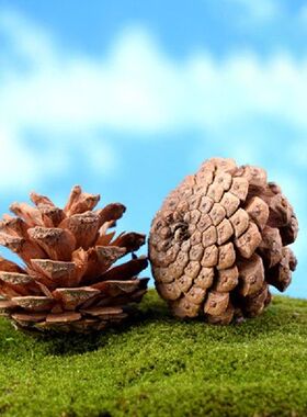 COCODE 3-4 CM Christmas Decoration Pine Cones Pinecone Xmas