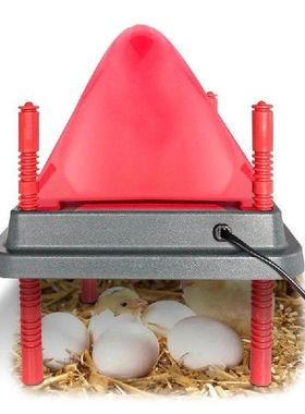 Chicken Warmer For Coop Heating Plate Of Chick Brooder