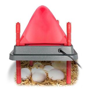 Chicken Warmer For Coop Heating Plate Of Chick Brooder