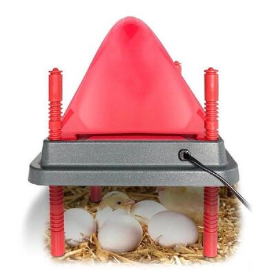 Chicken Warmer For Coop Heating Plate Of Chick Brooder