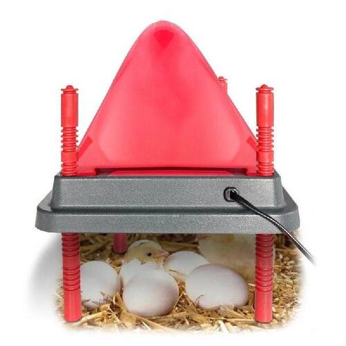 Chicken Warmer For Coop Heating Plate Of Chick Brooder