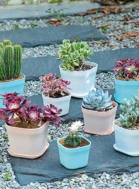 Creative Smooth Surface Plant Holder Planter Pot Square