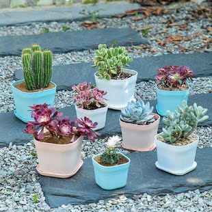 Creative Smooth Surface Plant Holder Planter Pot Square