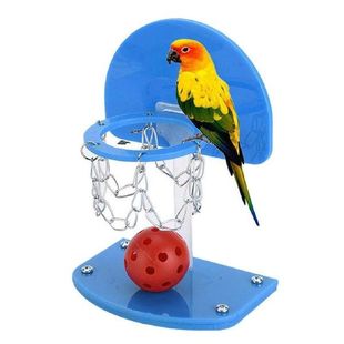 Bird Basketball Toy Set Mini Bird Training Toy Parrot