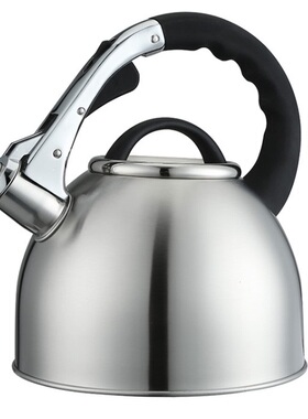 free shipping Water Kettle water bottle stainless steel