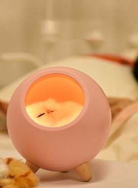 Pink Cute Cat House Touch Dimming LED Night Light Kid Baby