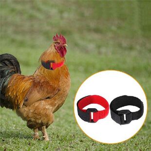 Rooster Noise-Free Anti-Hook Neckband Collar 2pcs Rooster
