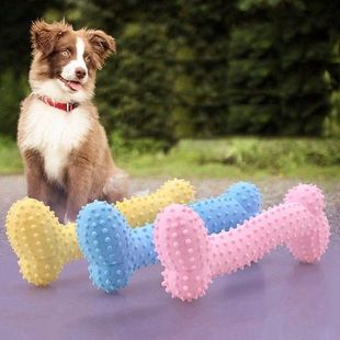 Dog Toy Ball Food Pet Dog ToysFunny Toothbrush Stick  For