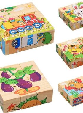 Wooden Animal Puzzle Kids Toys 6 Sides Wisdom Jigsaw Early