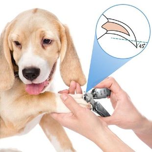 Pet Nail Pet Manicure Pedicure Pet Nail Clipper