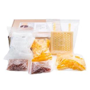 583A Beekeeping Queen Rearing Kit Cell Cups Catcher Box