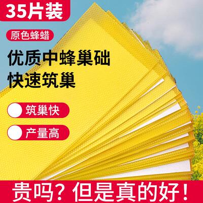 八千巢脾房础中蜂深意础蜂巢础蜜FPR蜂巢片蜂蜡巢巢基巢皮养蜂工