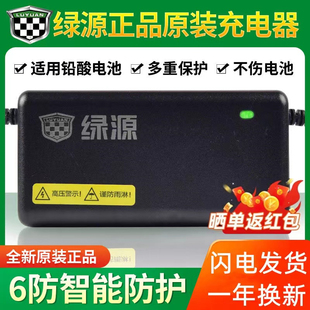 T2T 20E30E40E 绿源电动车电瓶车智能充电器48V60V72V12 20AH