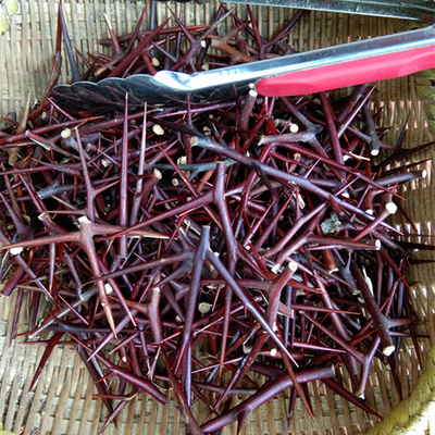 地产中药材贵州皂角刺农产品草药