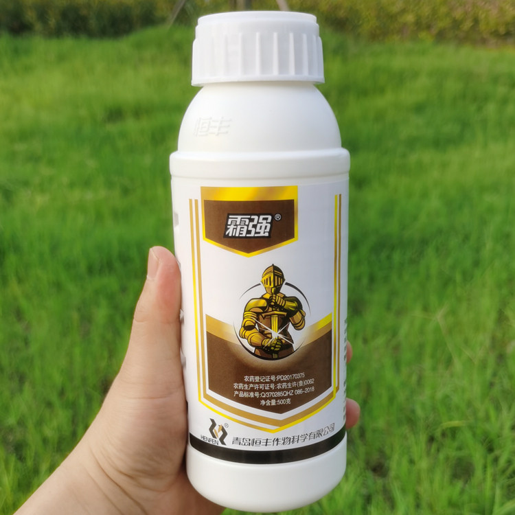 霜强20%氰霜唑杀菌剂农药黄瓜霜霉病专用药悬浮剂正品500克整箱批
