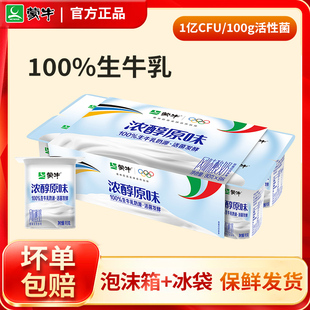 蒙牛原味酸奶8八连杯低温酸奶生牛乳发酵儿童益生菌营养早餐16杯
