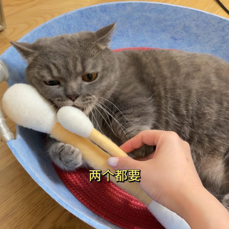 猫咪棉签玩具猫玩具自嗨解闷神器超大逗猫棒猫薄荷宠物磨牙洁齿