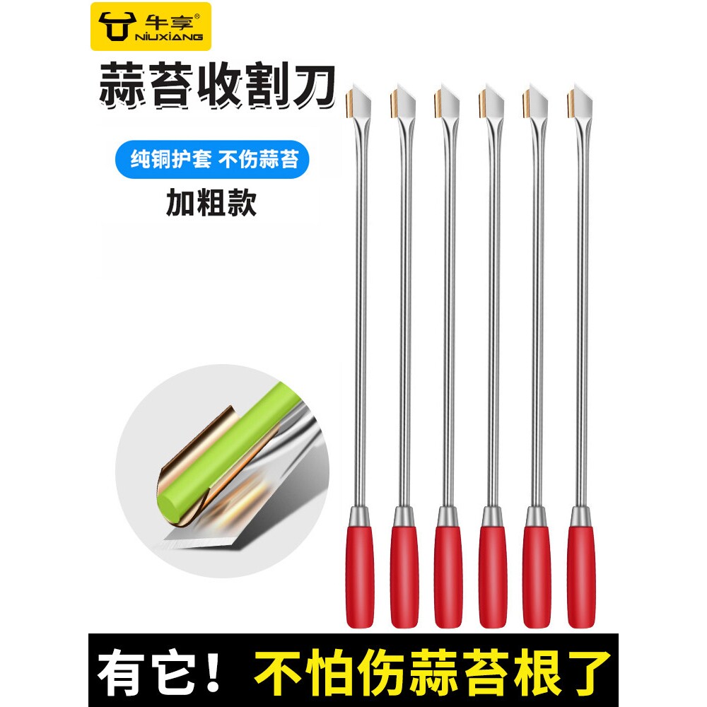 蒜苔收割刀刮蒜苔神器提蒜苔划蒜苔神器打蒜薹工具剥拔抽蒜苔神器