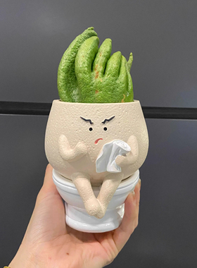 【厕所搭子】佛手柑托盘高颜值摆件客厅轻奢高档花瓶装饰多肉盆栽