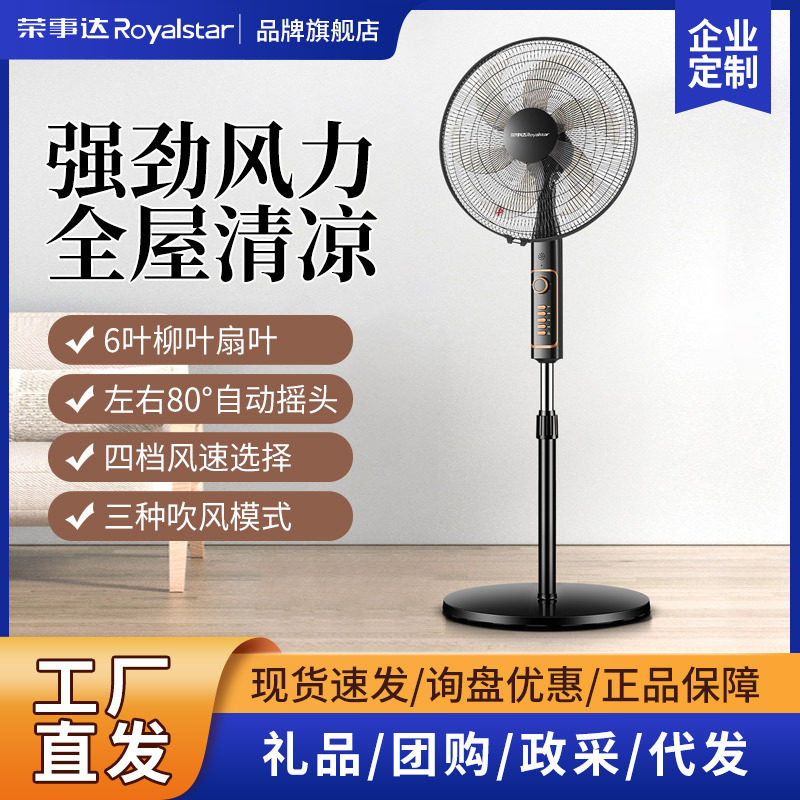 荣事达电风扇大风力落地