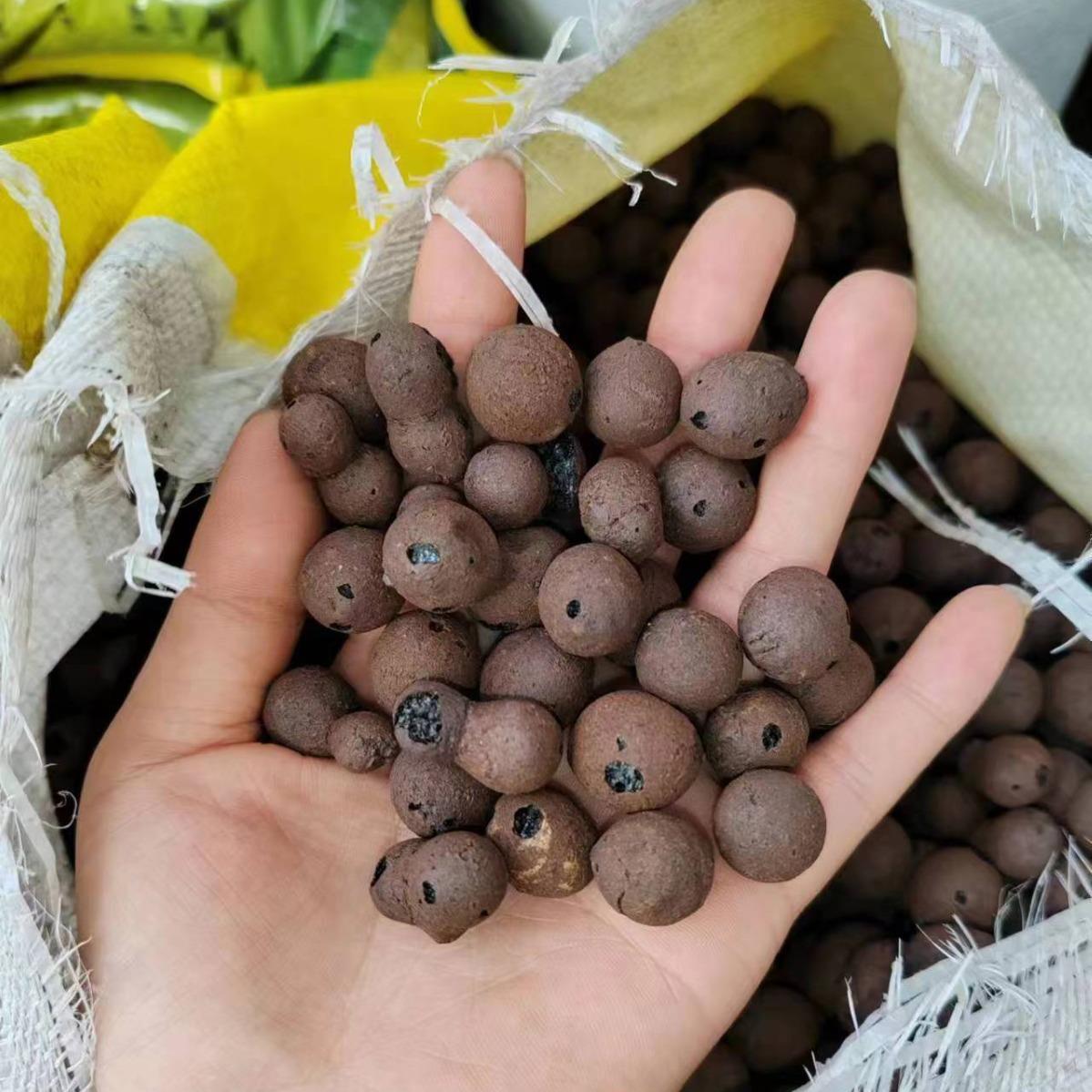 陶粒养花专用垫底陶粒回填卫生间园艺多肉铺面石陶土粒营养土大包