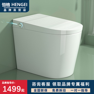 HENGEI 恒格 小户型智能马桶家用全自动一体机无水压限制坐便器