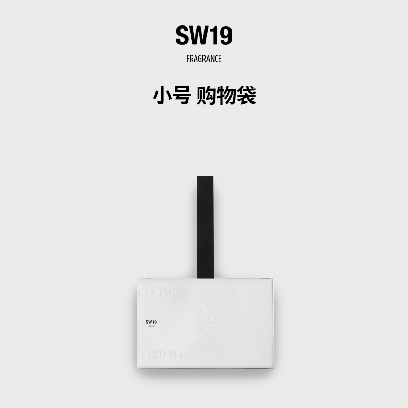 SW19小号礼袋纸购物袋