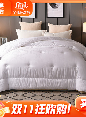 简单生活被子 特惠羽丝绒抗菌冬被1046/3097柔软被芯亲肤保暖冬被