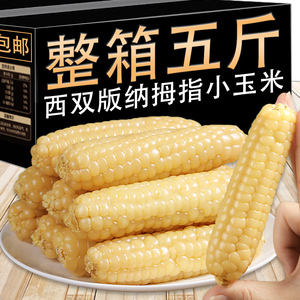 西双版纳拇指玉米5斤整箱新鲜手指香糯玉米早餐即食真空甜玉米棒