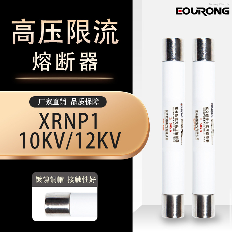 高压熔断器XRNP1-10-12KV0.5A1A2A3保护险熔管芯PT限流熔断器底座