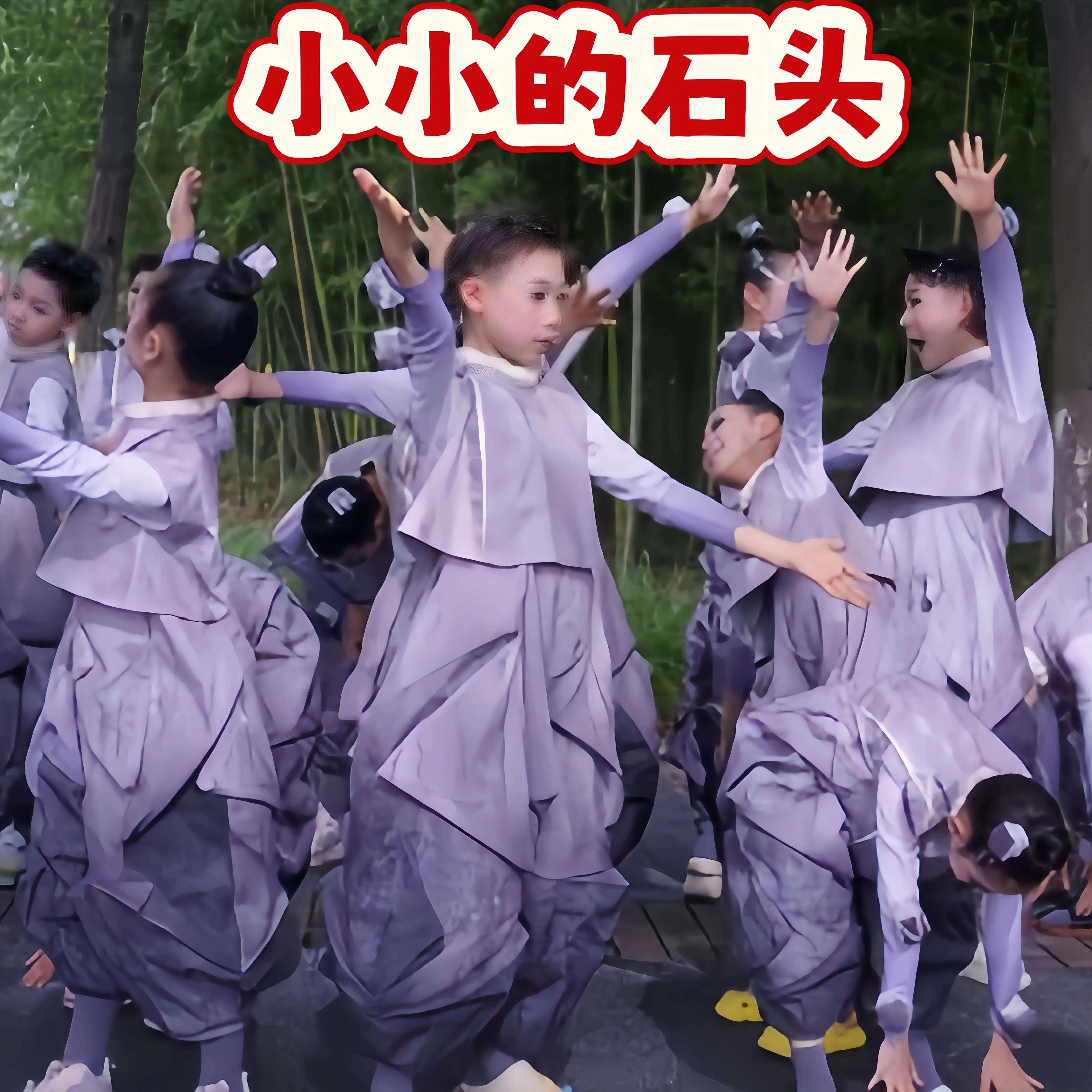 小小的石头儿童舞蹈服演出服男女演出服我是一个小小的石头表演服