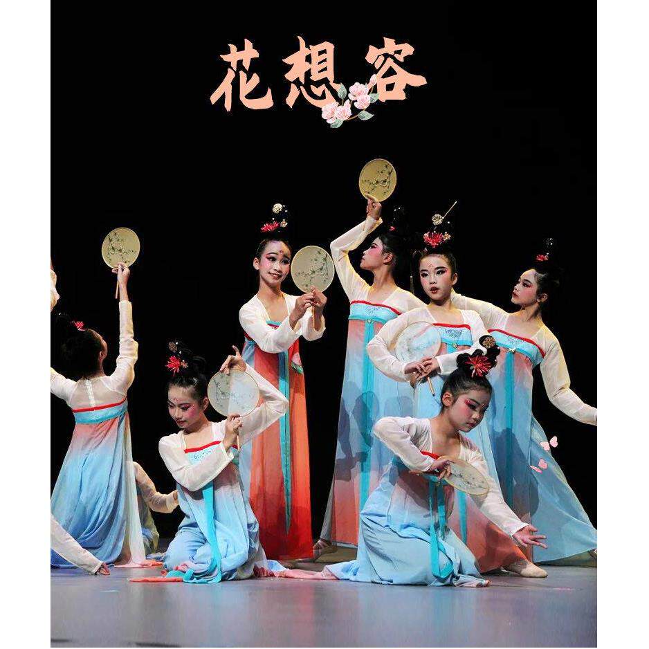 花想容露华浓同款古典舞演出服中国风舞蹈服女子群舞剧目服新款