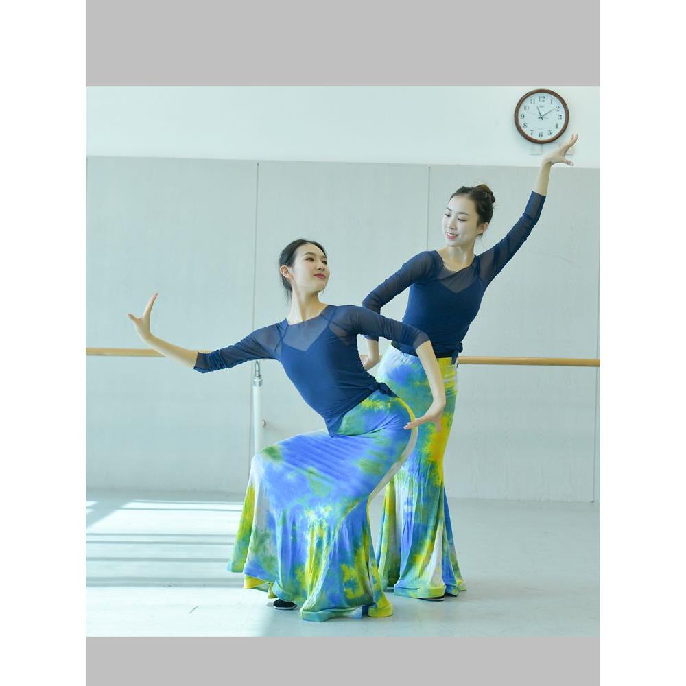 西双版纳傣族舞蹈服女鱼尾裙成人民族舞练功服演出服装艺考练习裙