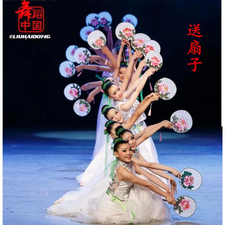 荷花少年踏歌行舞蹈演出服装儿童古典舞扇子舞白纱裙大摆裙演出服